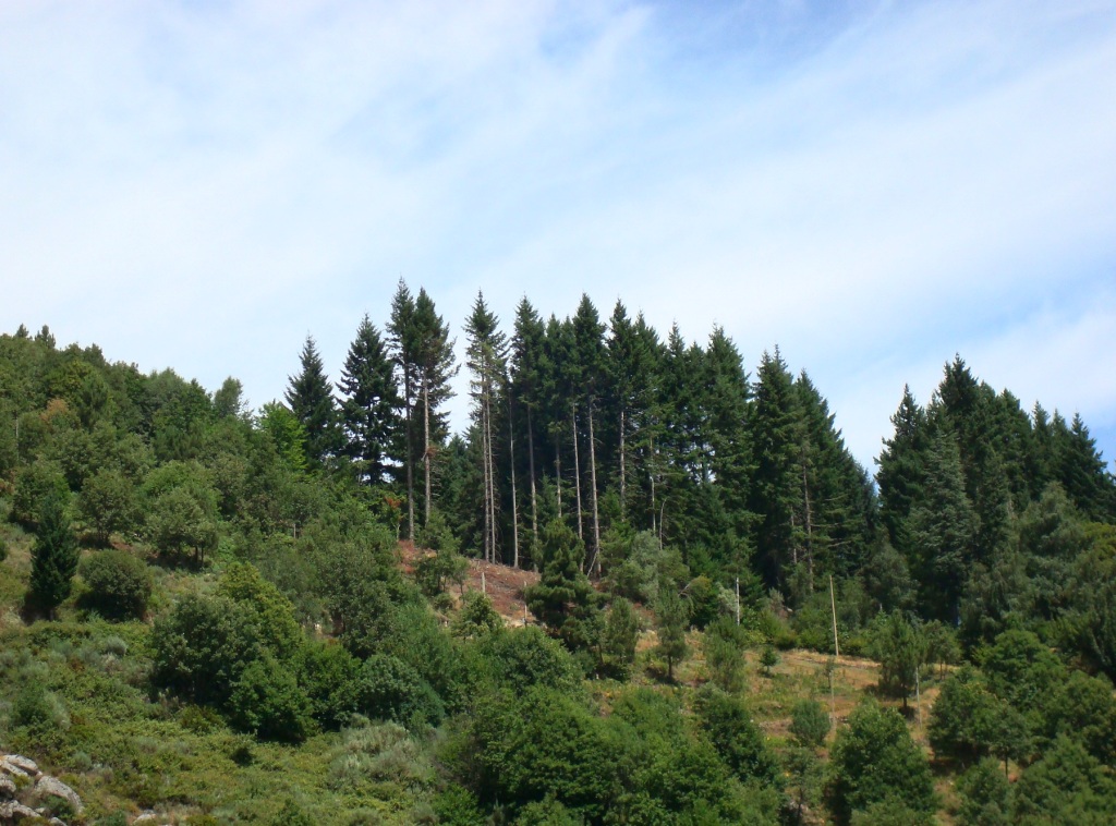 [DSC01501.JPG]