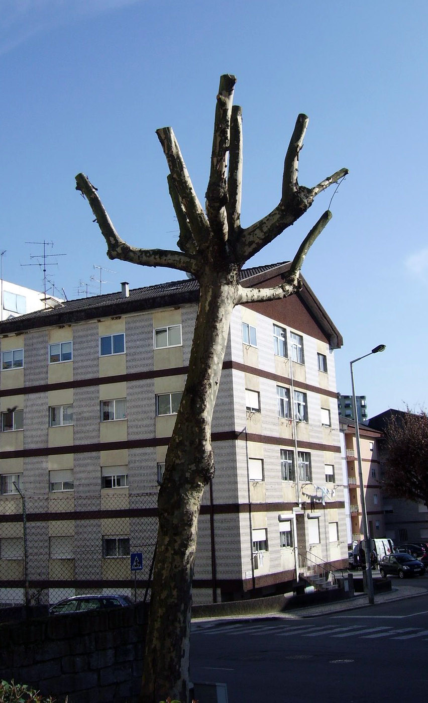 [IMGP2189_edited.JPG]