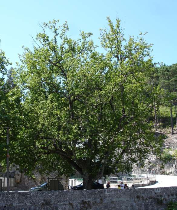 [DSC08265_edited.JPG]