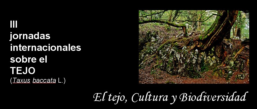 [banner_tejo.jpg]