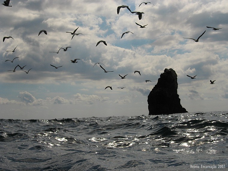 [IMG_4609.jpg]