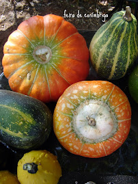 Abóboras da Minda