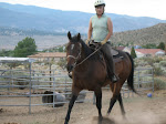 Dutch the Very Handsome and Busy Quarter Horse Gelding