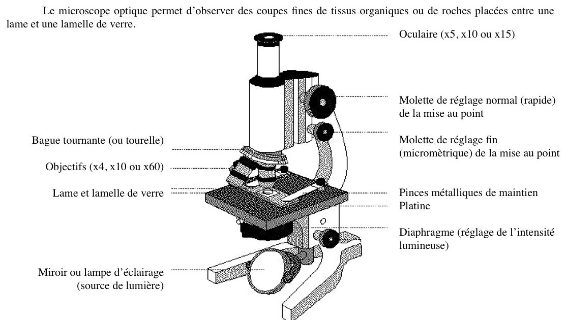 svtOlycée Le Microscope Optique