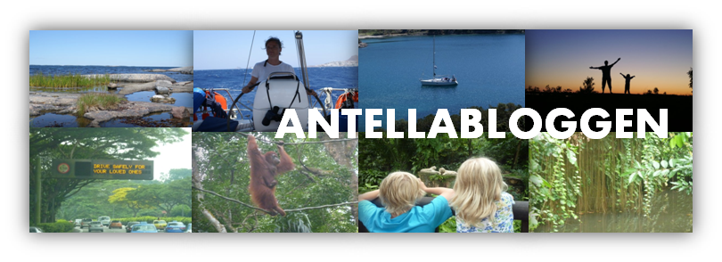 ANTELLABLOGGEN