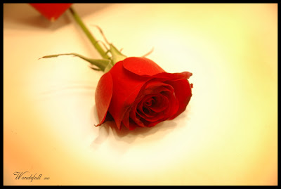 ������ ���� ������ �� ���� ������