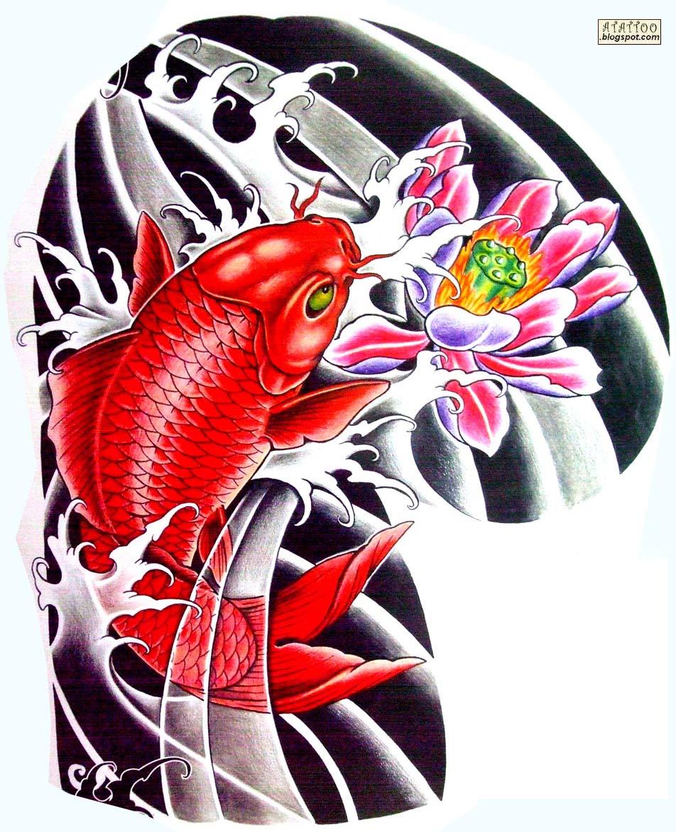 Carpa Koi