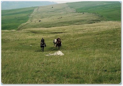 [ruiters+op+de+tratturi.jpg]