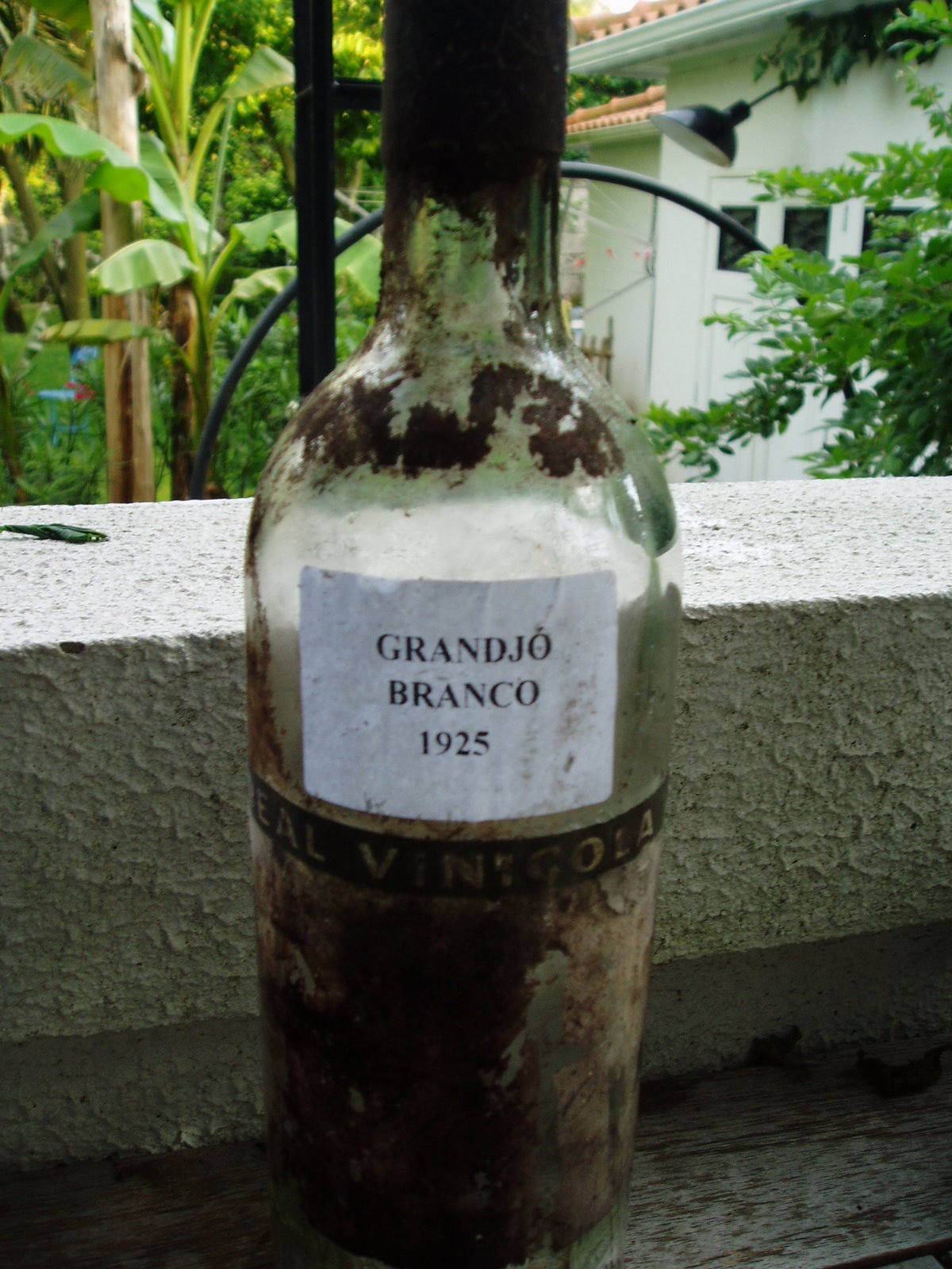 [P6100101.JPG]