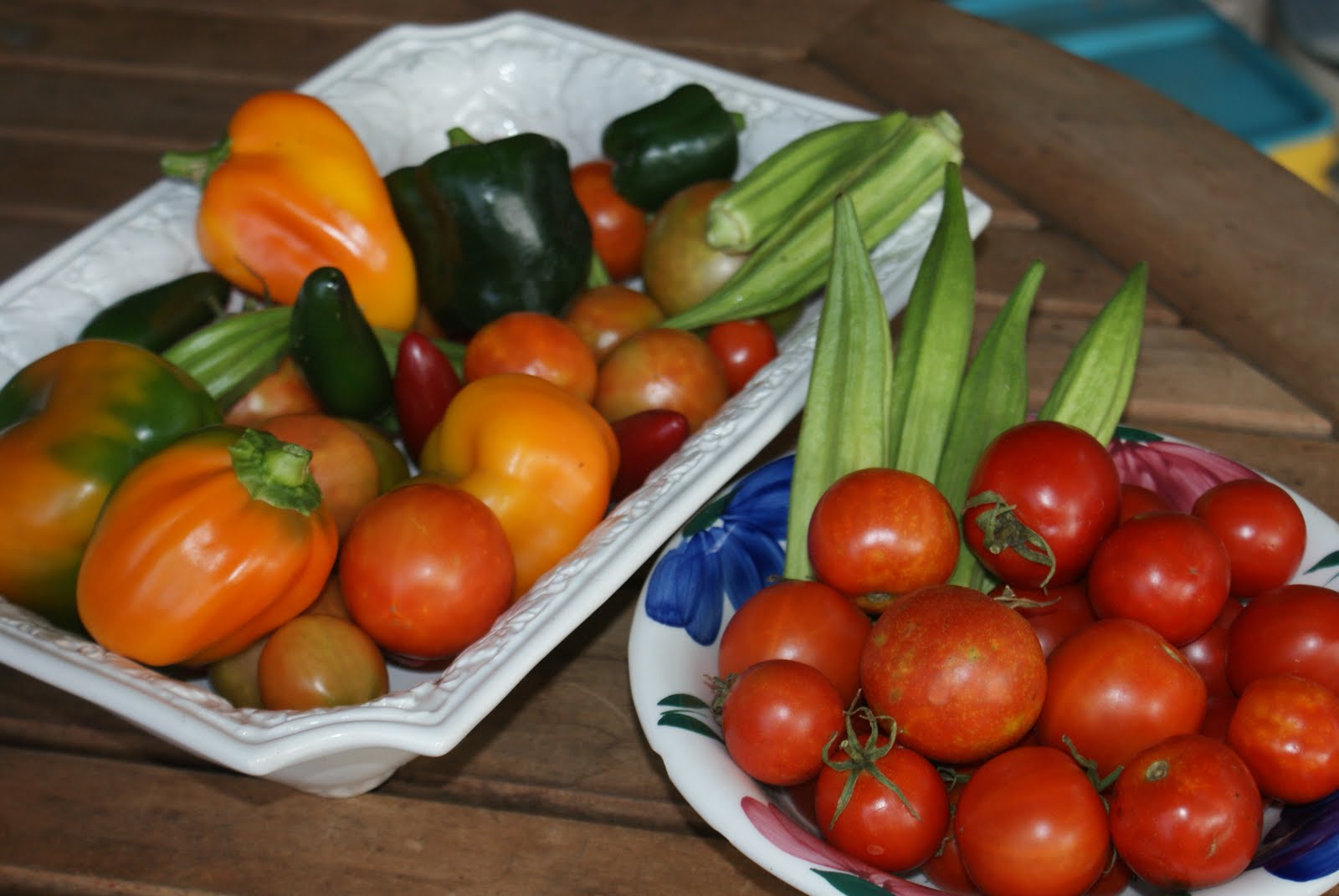 I love fall gardening in Texas