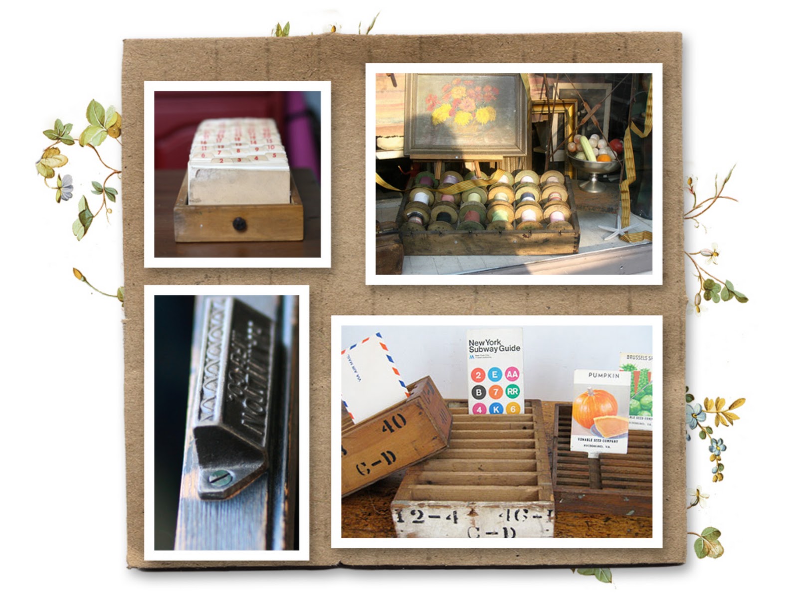 The Library Drawer Our New Love And Yes Another Giveaway