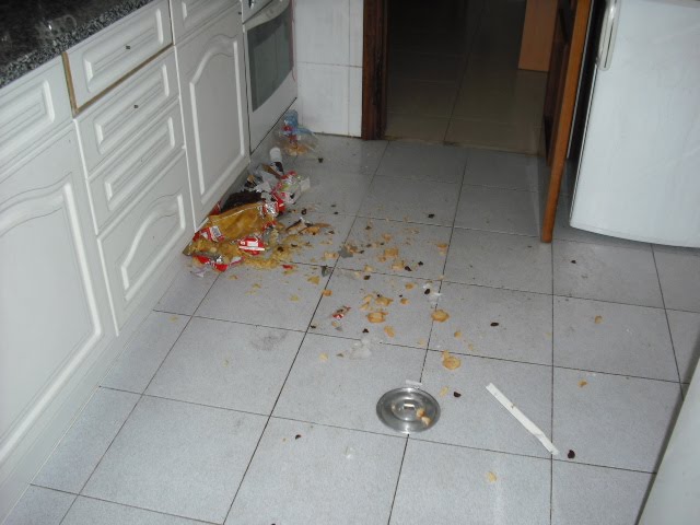 [DSCF3001.JPG]