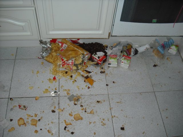 [DSCF3002.JPG]