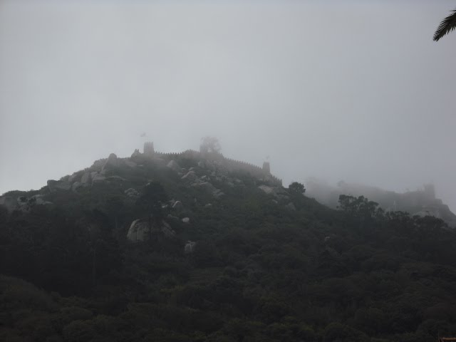 [DSCF0029.JPG]