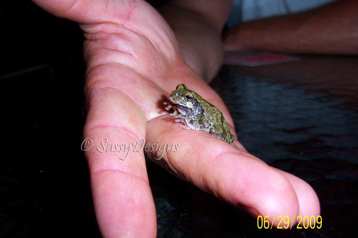 [Frog4.jpg]