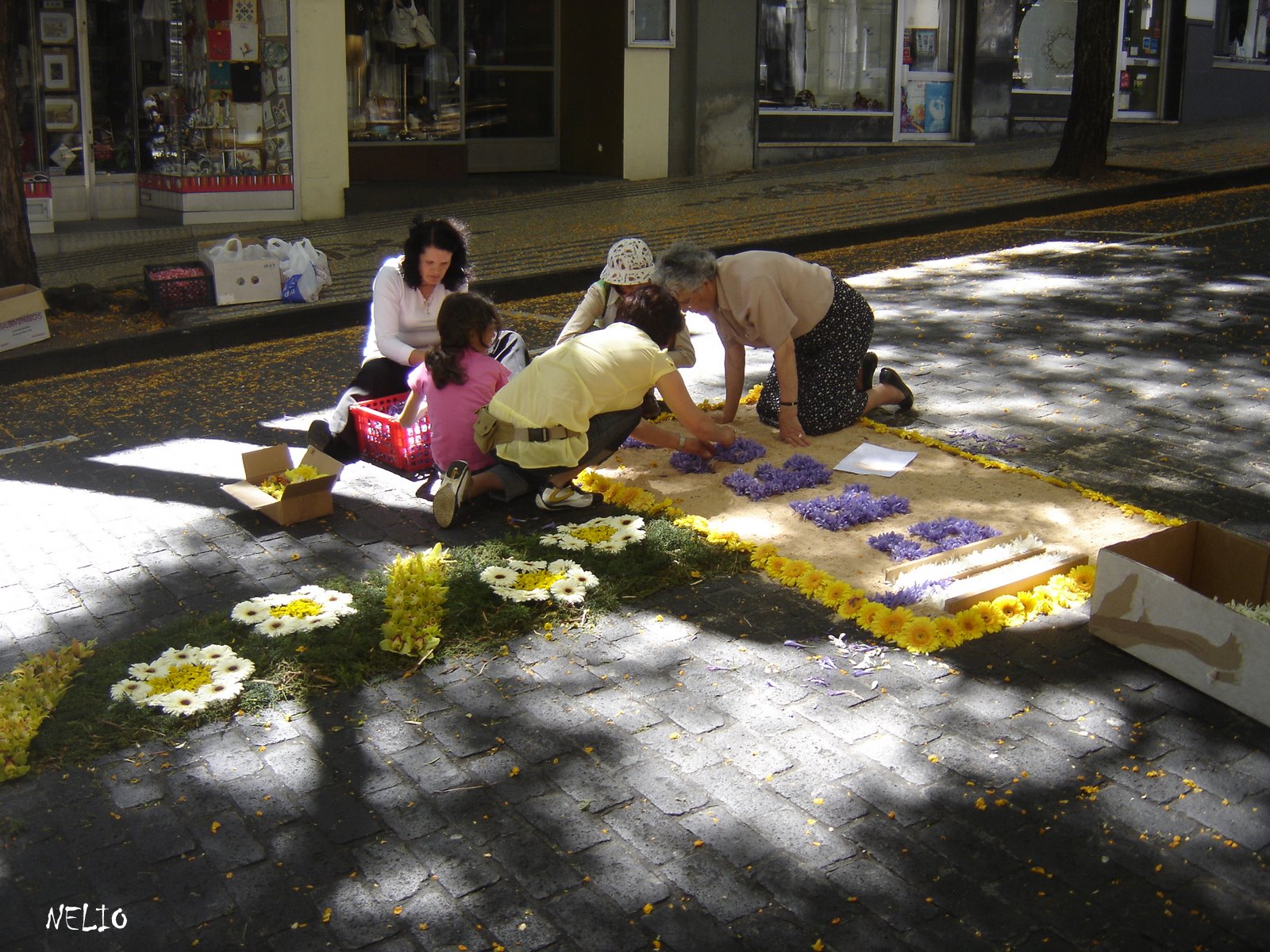 [TAPETE+FLORES++FUNCHAL+179.JPG]