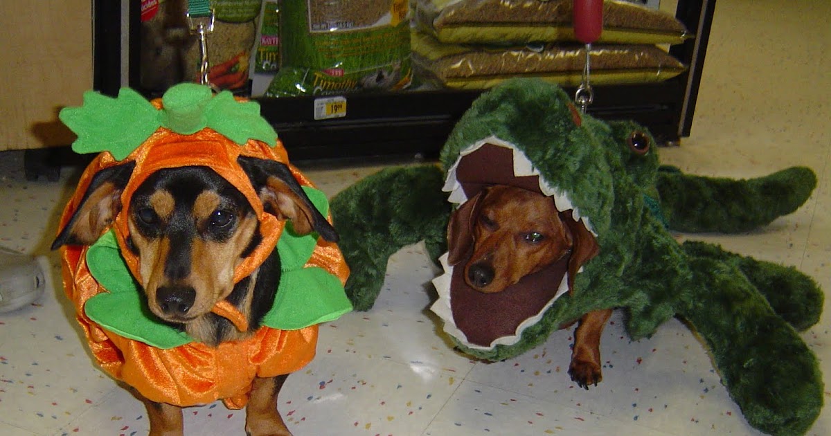 For The Love of Wiener Dogs Halloween Costume Party The Horror!