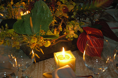 [277718767_86859ea36e.jpg]