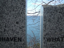 Dichotomy