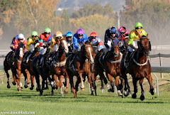 Hawkes Bay Cup 2009