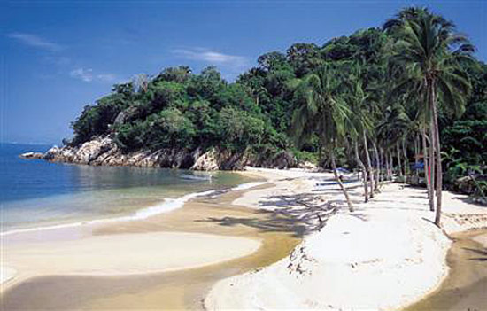 I love the tropics, don\