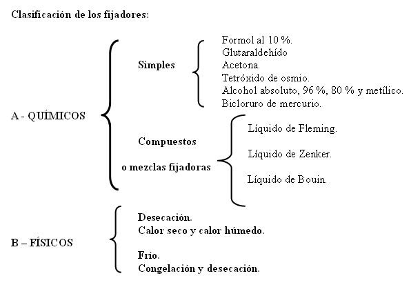 Tecnologia Medica Mencion Morfofisiopatologia Y Citodiagnostico
