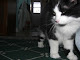 My photo