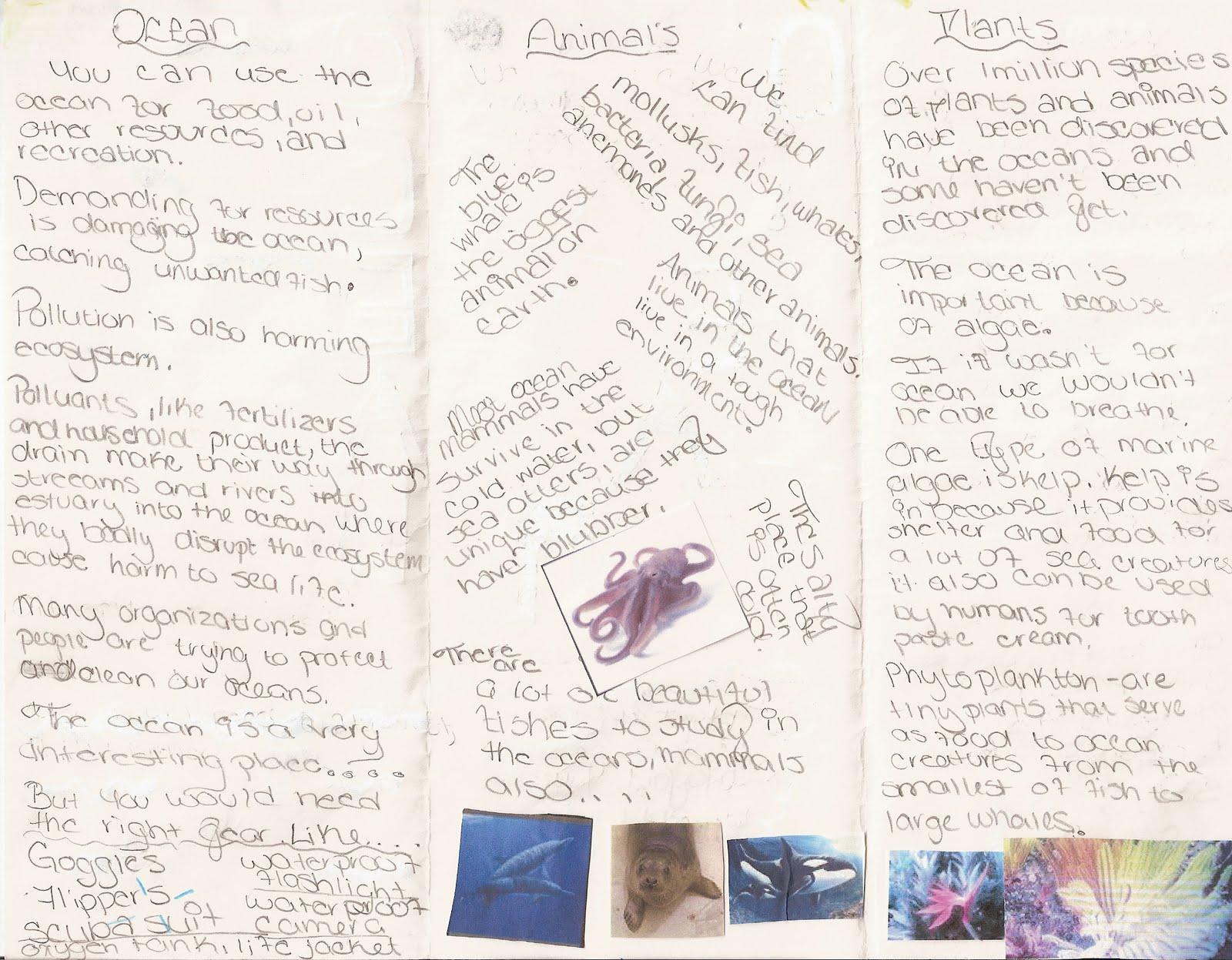 Donna's Science Education Blog Biome Brochures or Stories