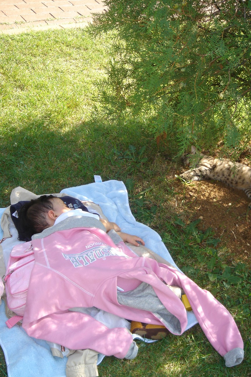 [Copy+of+DSC04547.JPG]