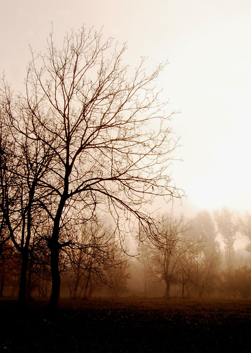 [What_We_Forgot_by_Alexandru1988.jpg]