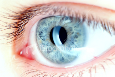 [ist2_3324528_blue_eye_in_macro.jpg]