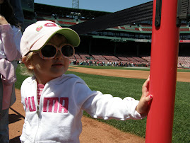 The New Security at Fenway!