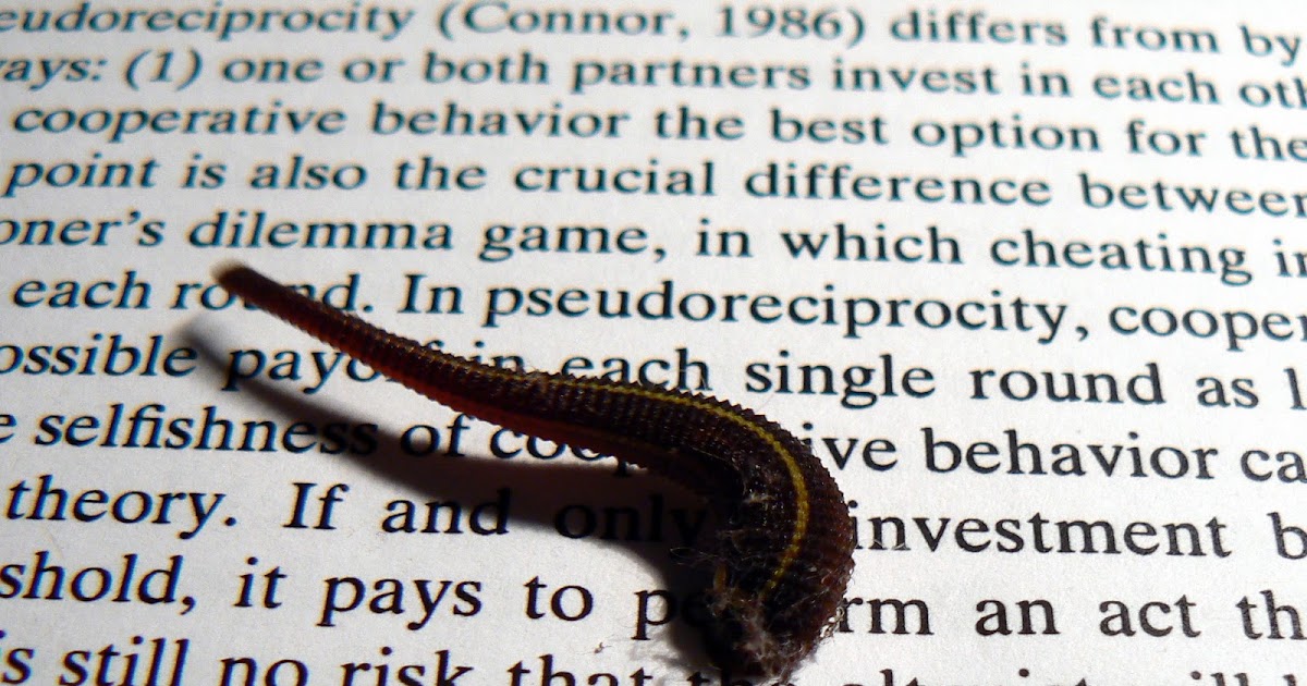 MY GROWING PASSION Déjà Vu....