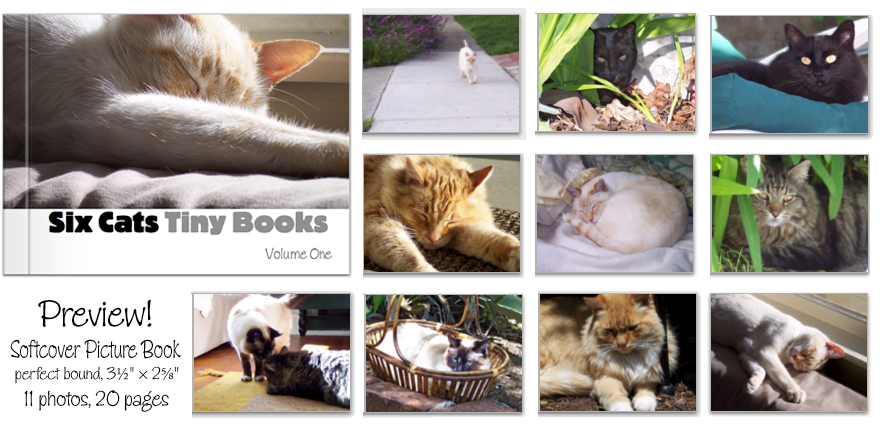 [tinybooks1-h-ad360.png]