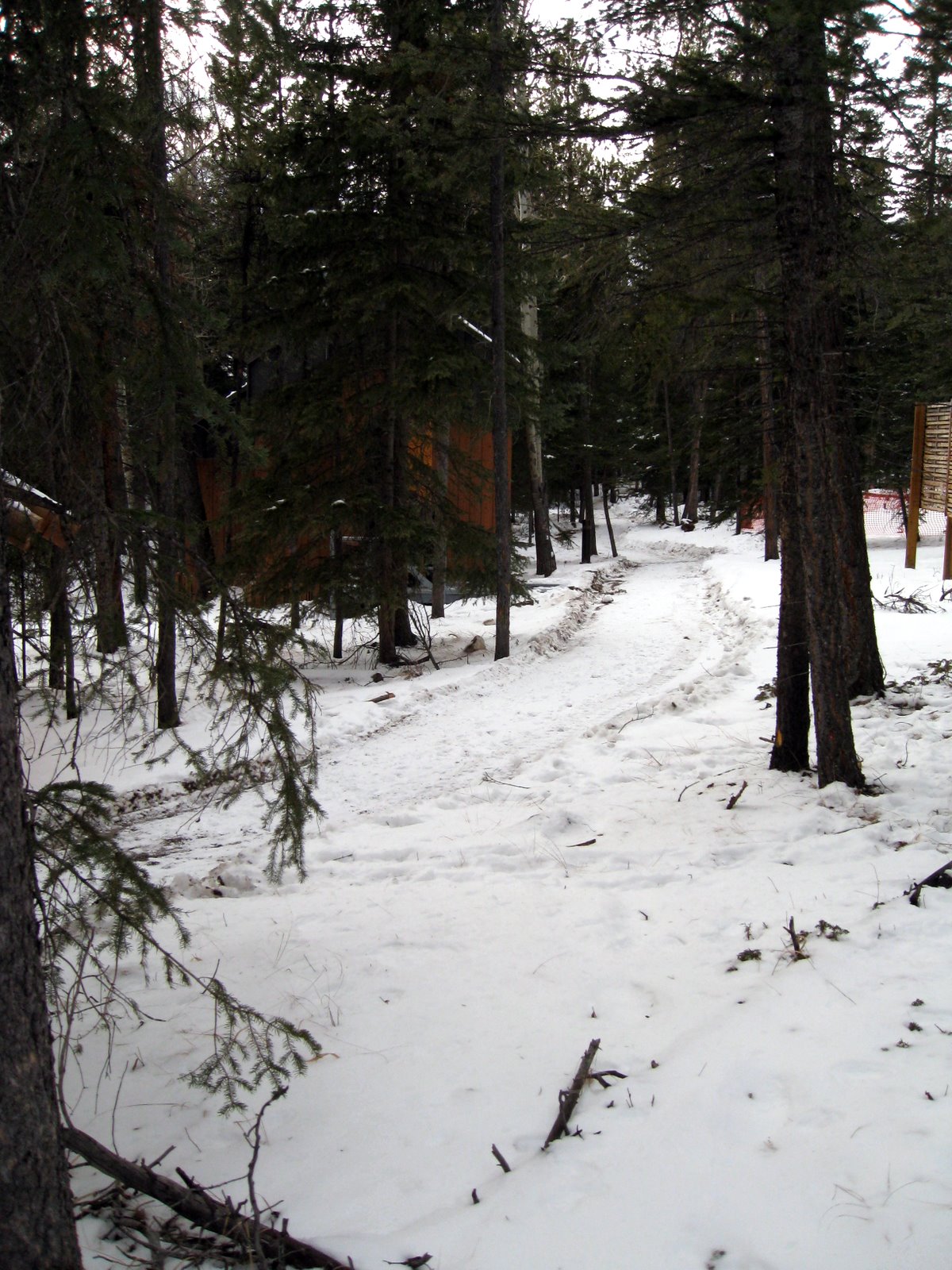 [Arti+Banff+013.JPG]