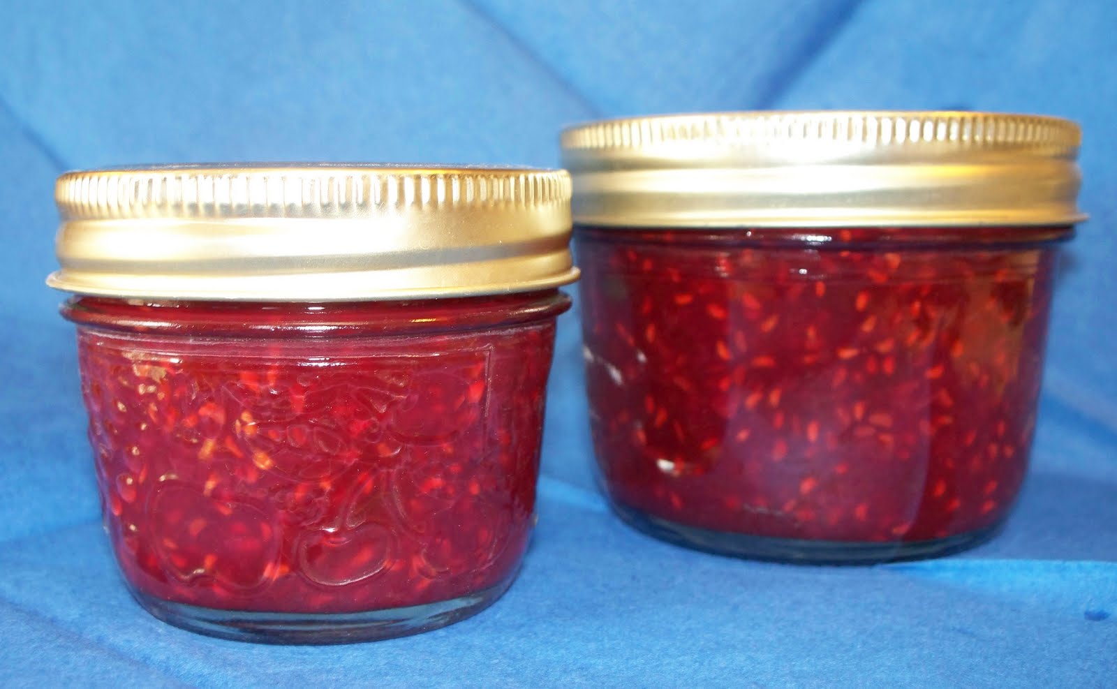 Another Broke Mom Raspberry Jalapeno Sauce