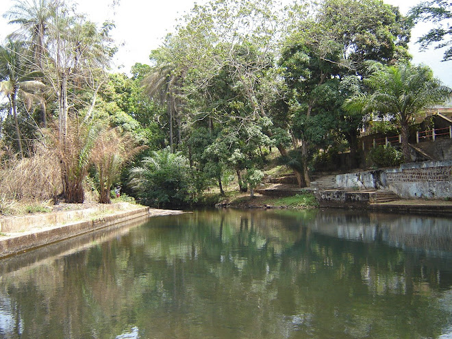 piscine naturelle à Dubréka