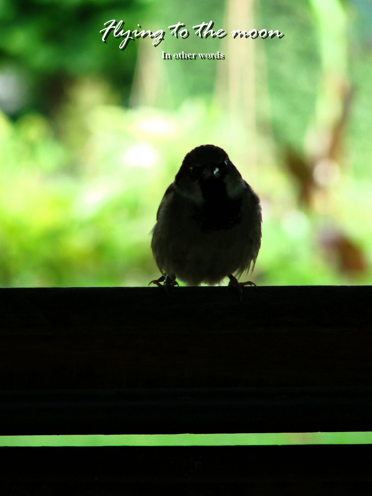 [nn2510+Contact+1.jpg]