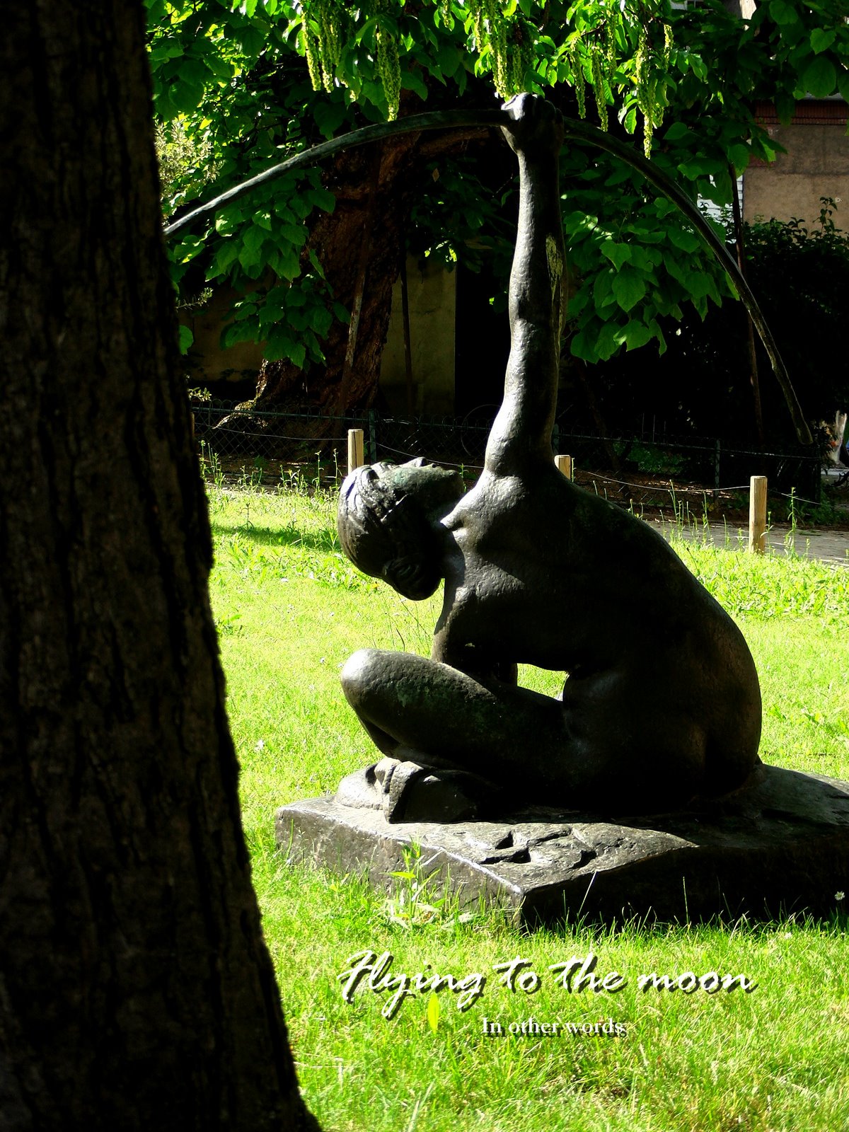 [nn2502+chasseresse.jpg]