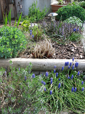 Landscaping Ideas For Small Slopes Finally A Double Rainbow