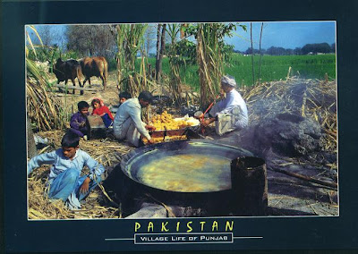 Village+pictures+in+punjab