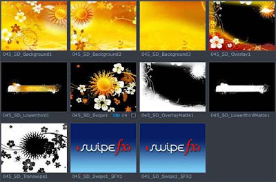Digital+Juice+Editor%27s+Toolkit+Pro+0451+Sun+Kiss.jpg