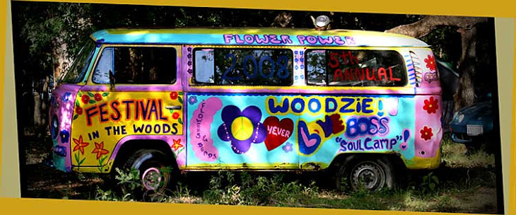 The Whippleworld Woodzie 2008