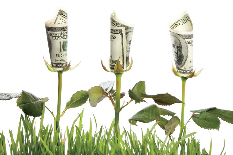 The average cost of a wedding