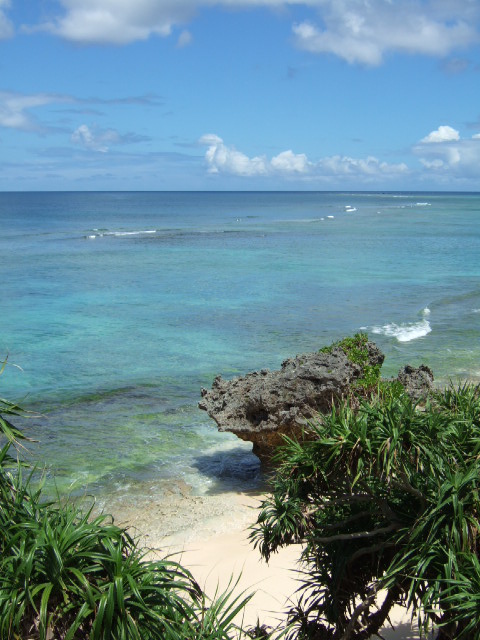 [DSCF6119.JPG]