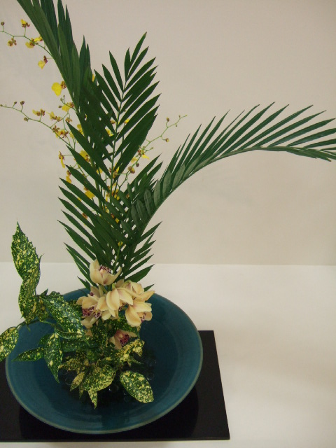 [DSCF6733.JPG]