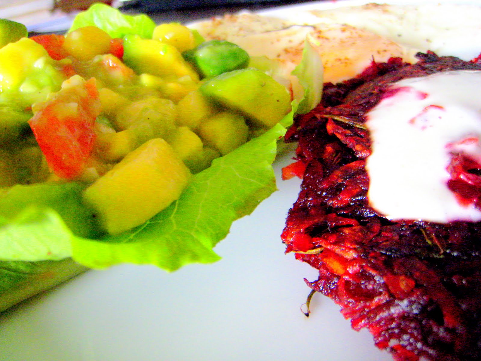 Vegetarian Gourmet by the Skinny Gourmand Beet Hash Browns