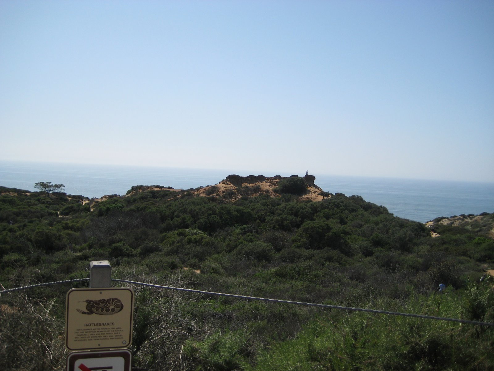 [IMG_3298.JPG]