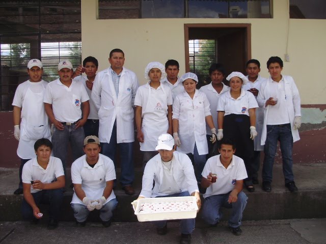 UNIDAD EDUCATIVA A DISTANCIA DE IMBABURA