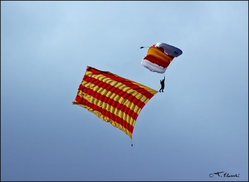 Diada Nacional de Catalunya avui s'escriu en català